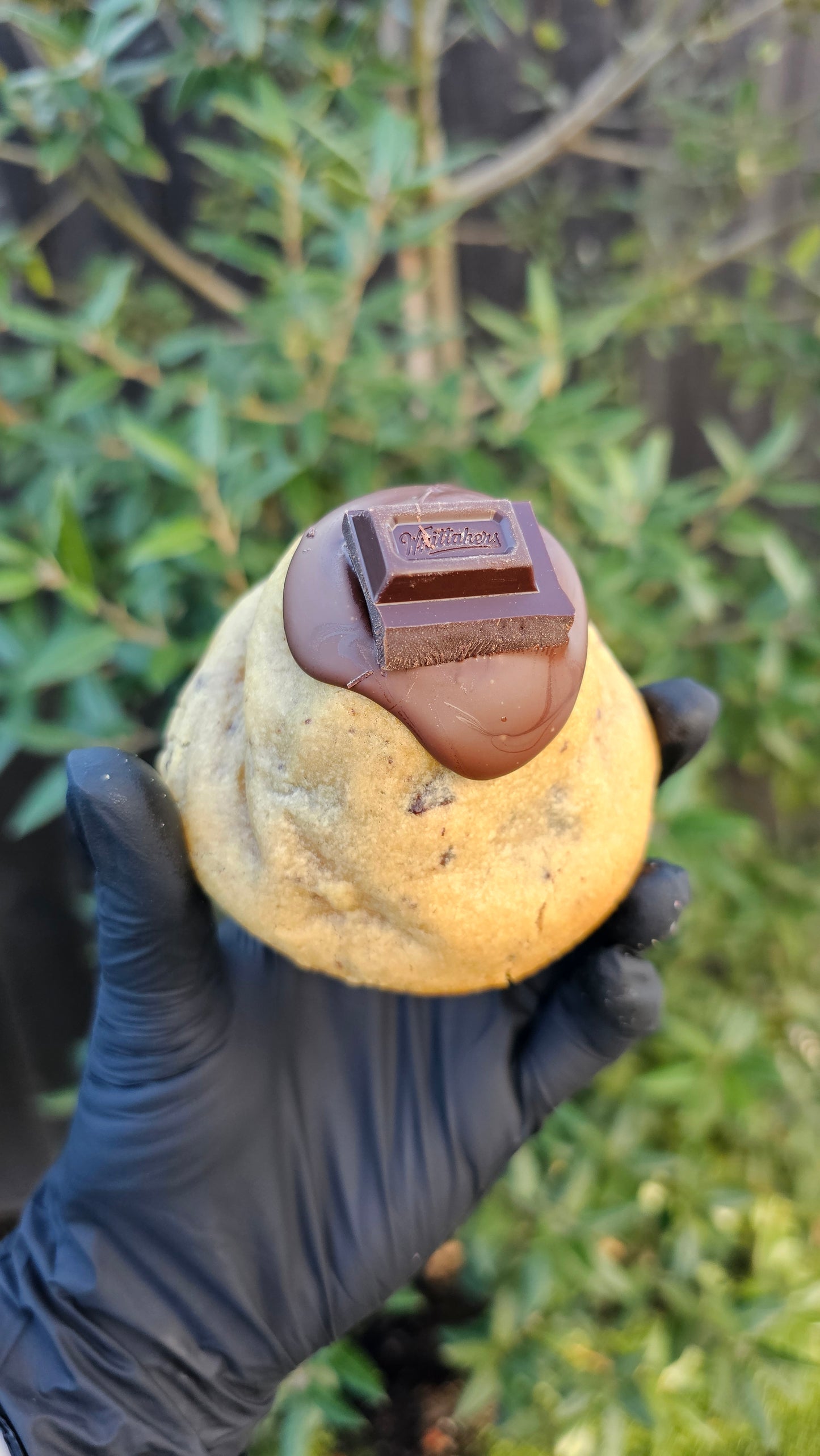 Milk Chocolate
