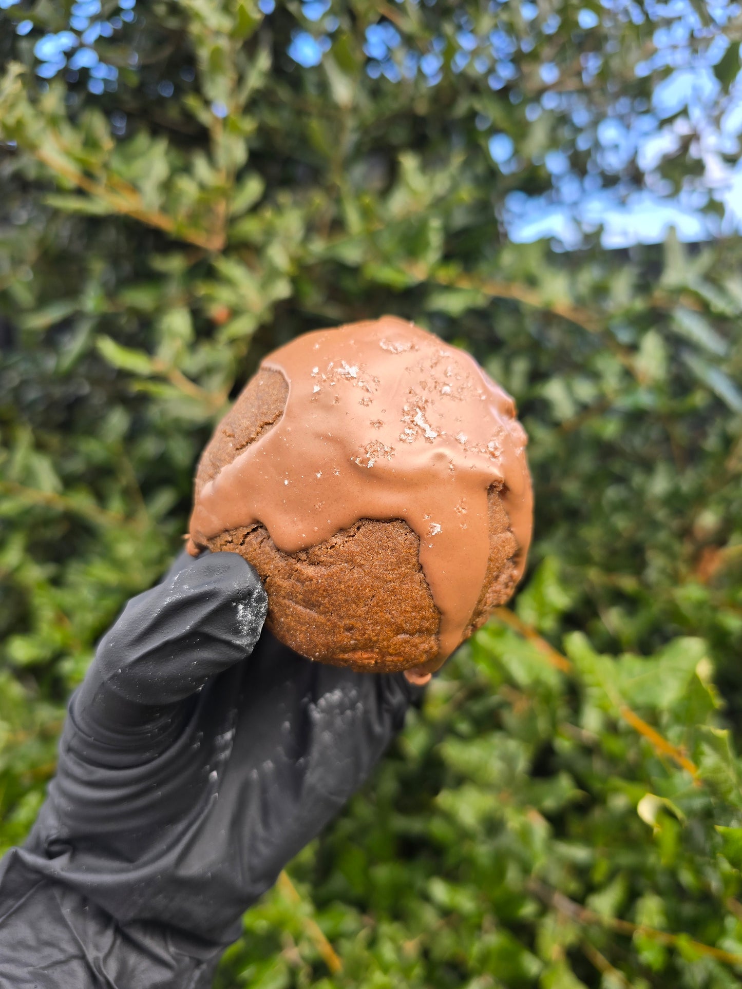 Salted Caramel Cookie