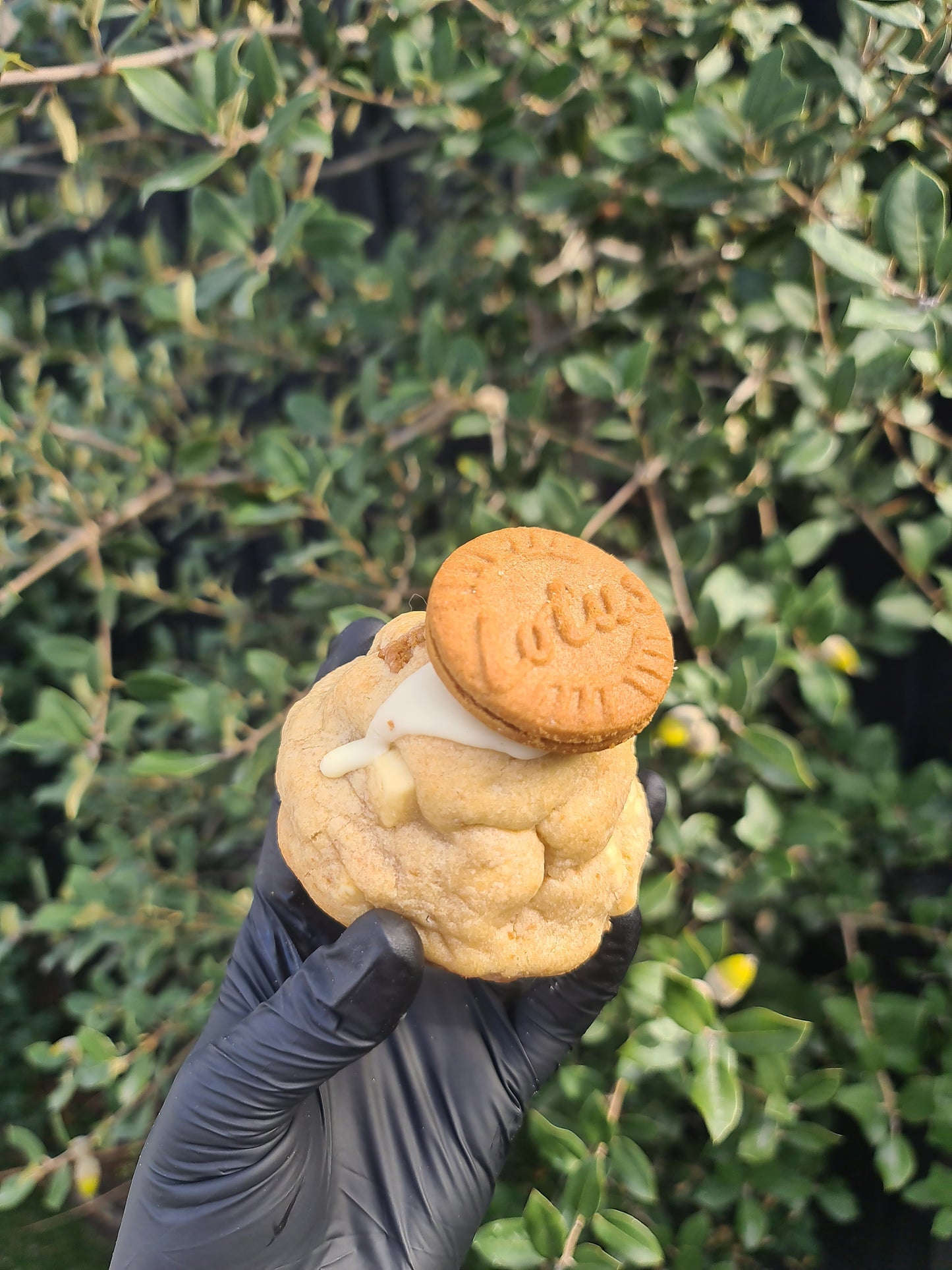 Biscoff & White Chocolate