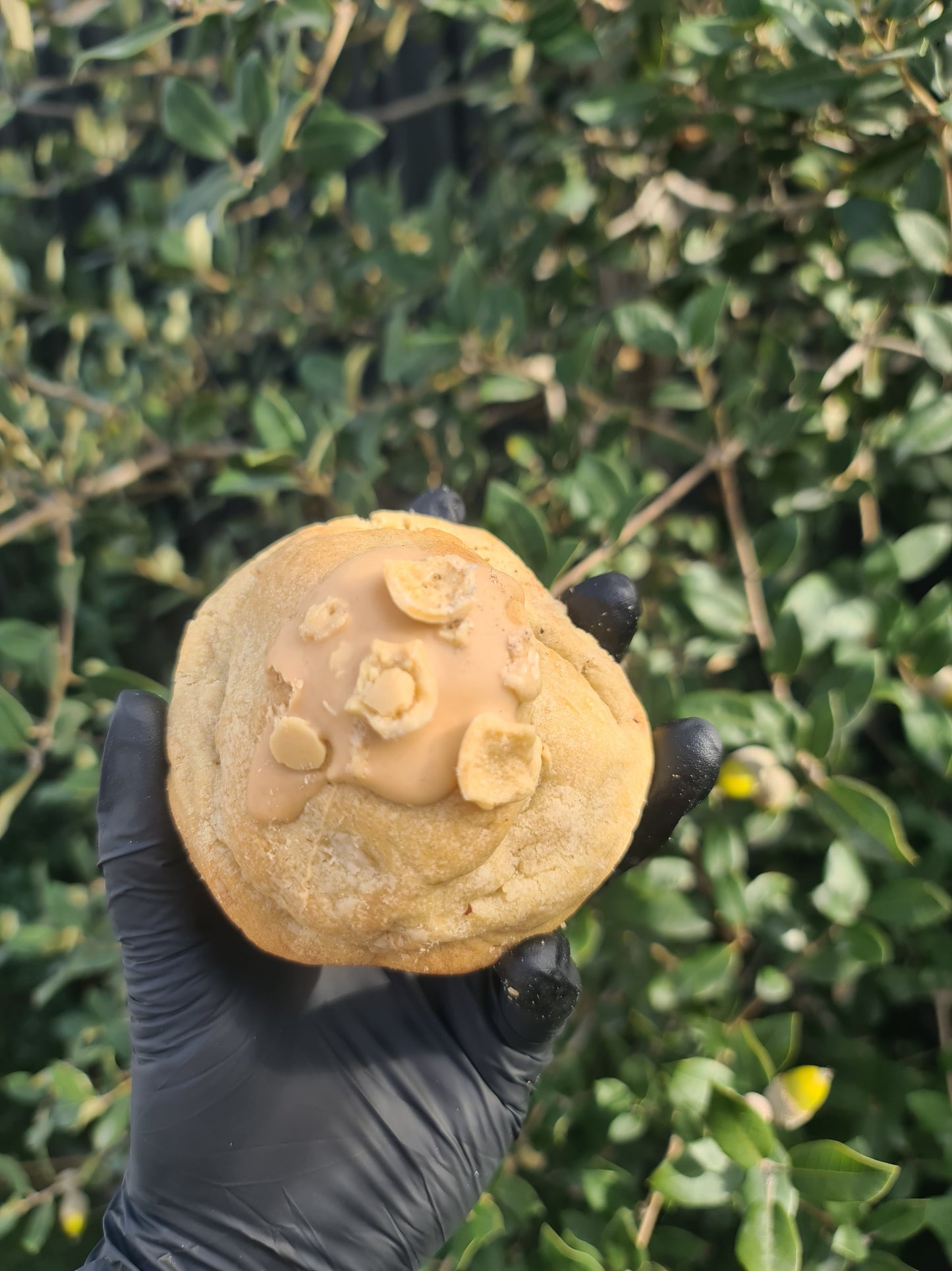 Caramilk & Malteaser