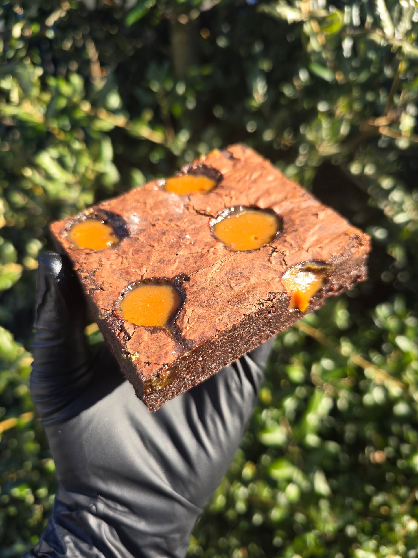 Salted Caramel Brownie